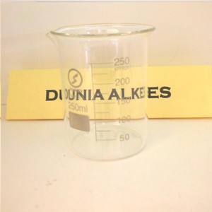 BEAKER GLASS 250ML RRC/BAKER GLASS 250ML RRC/GELAS KIMIA 250 ML