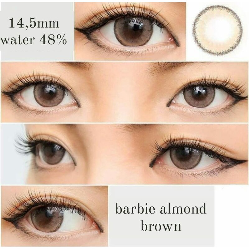 Barbie Almond Brown