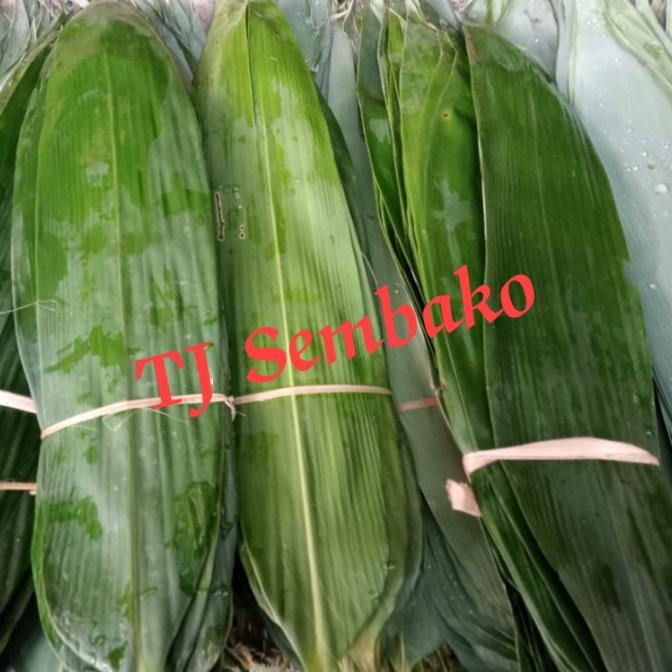 

DAUN BACANG / CUNG JAP TERLARIS TERPERCAYA ORIGINAL
