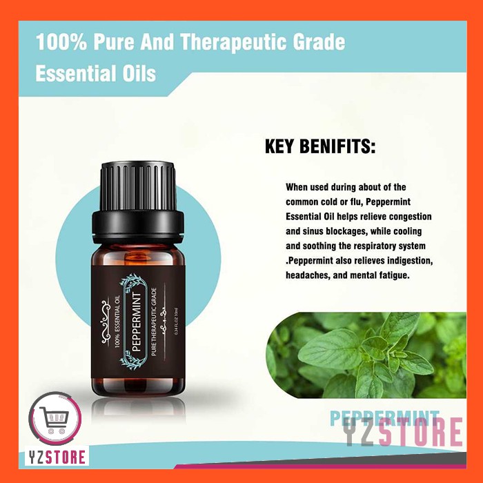 Essential Oil Aroma Terapi Aromatherapy Pengharum Ruangan Pure Diffuser 10ml 6PCS YZ76