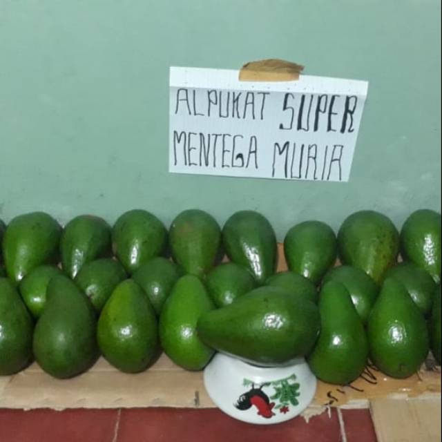 

Alpukat Mentega Super Muria