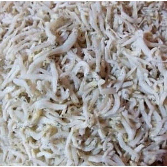

IKAN TERI MEDAN 100 gr