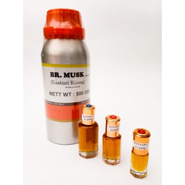 KASTURI KIJANG BIBIT ASLI