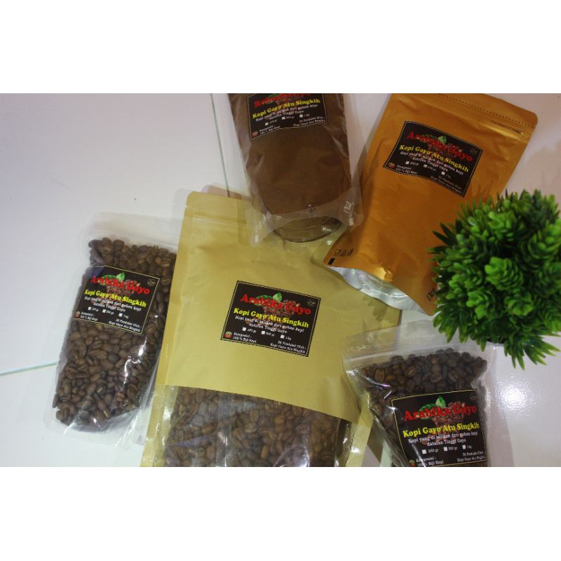 

kopi gayo atusingkih