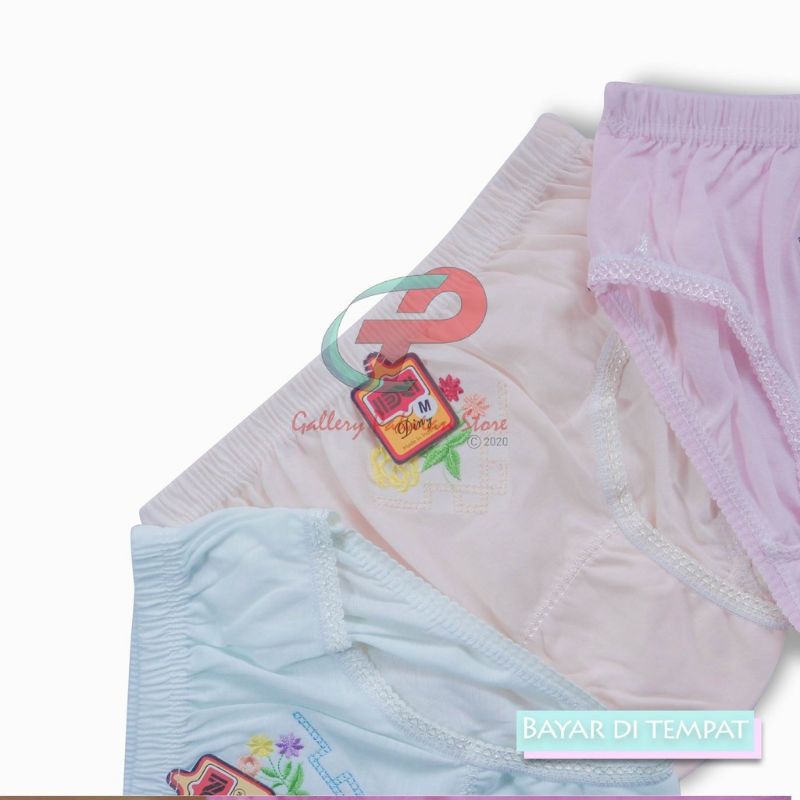 CELANA DALAM WANITA IMPORT DINY UNDERWARE UNDIES POLOS DAN MOTIF BAHAN ADEM KIRIM RANDOM