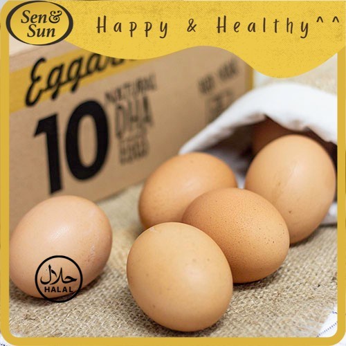 

Sen&Sun Ayyomi Telur Eggarnic 10 pcs