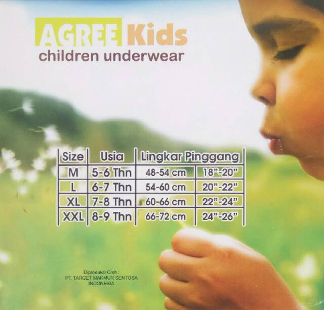 Celana Dalam Agree Kids AK 014 | CD Anak Agree Laki Laki - Sguna - 014 3 pcs / 1box