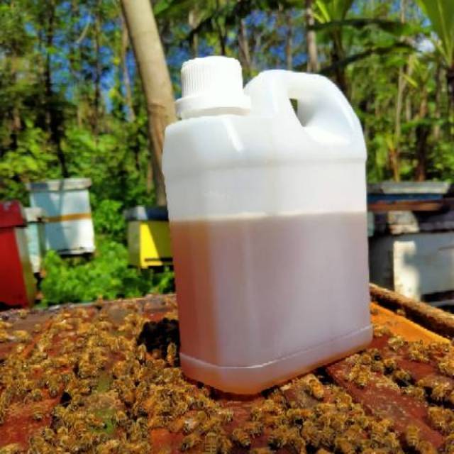 

Madu Asli Alami Raw Honey 1kg