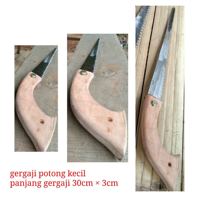 Gergaji potong kecil (bonsai)