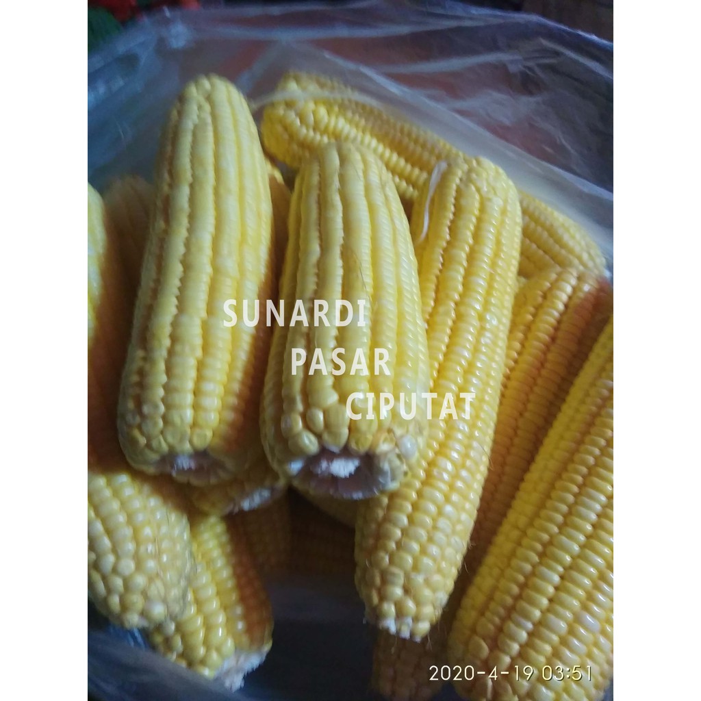 Jagung manis  kupas 1kg