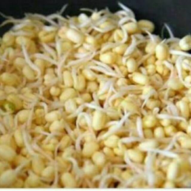 

Kecambah super