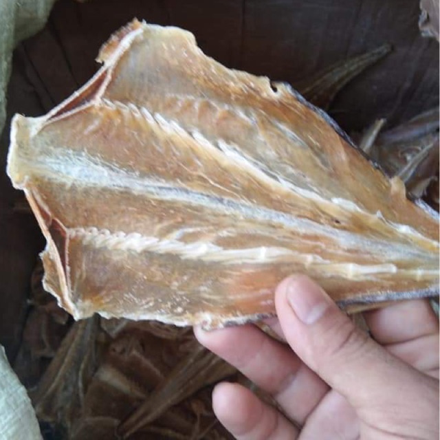 

Ikan Pari Tipis Asin 500 gram