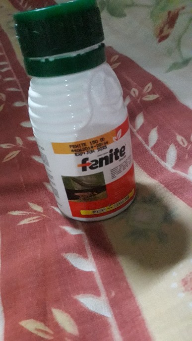 Insektisida Fenite 150 Od Dari Petrokimia Kayaku 100ml