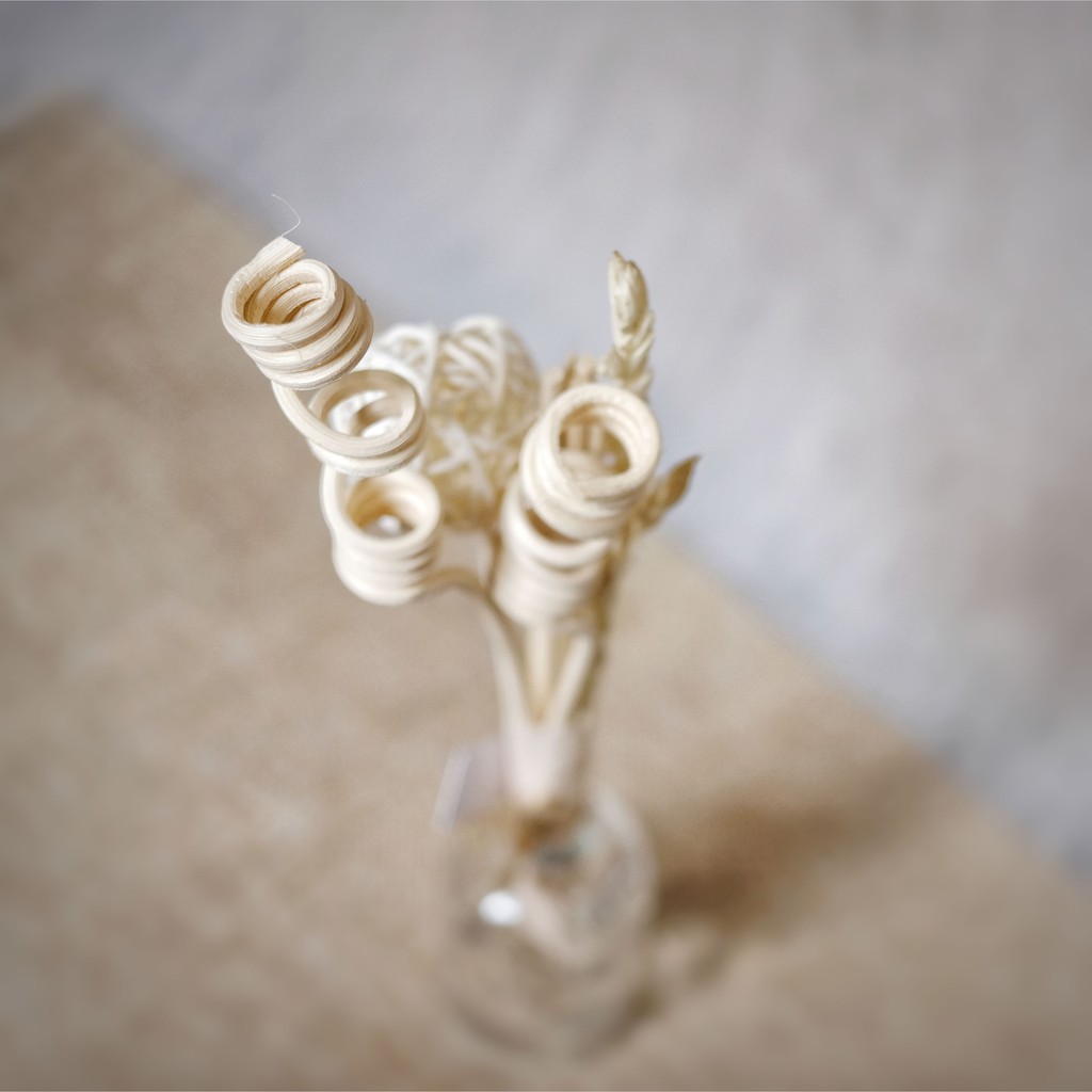 Plumeria Scent Sticks (Stick Reed Diffuser)-1