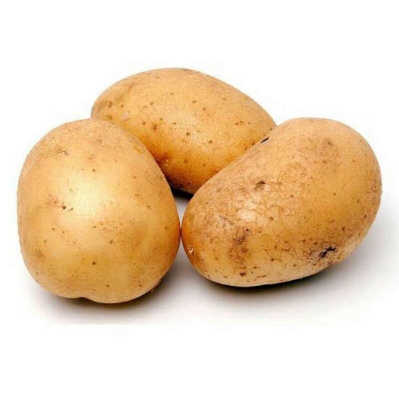 

kentang mentega 1kg fresh