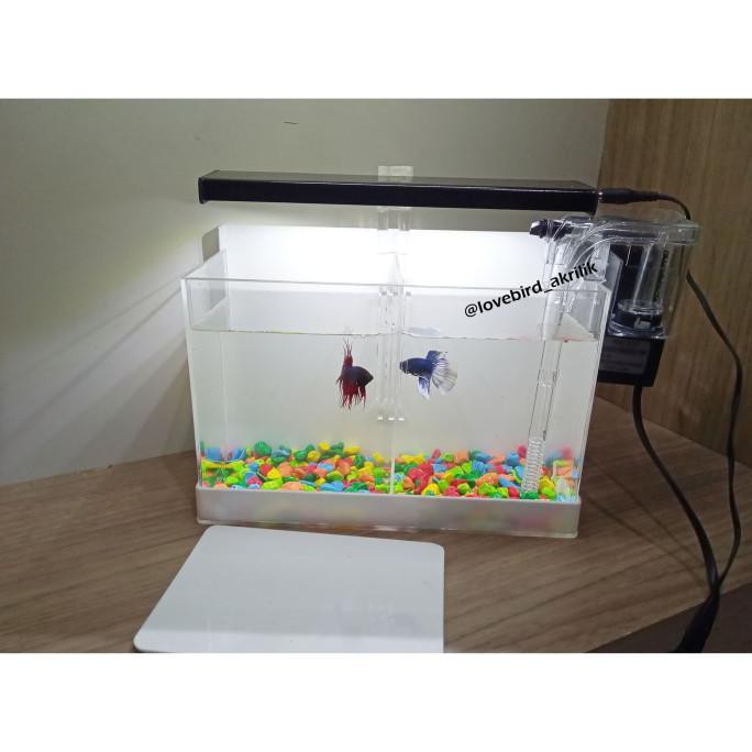 |Terbaru| Mini Aquarium Akrilik, Aquarium Mini Acrylic, Acrylic Aquarium Lengkap |Promo