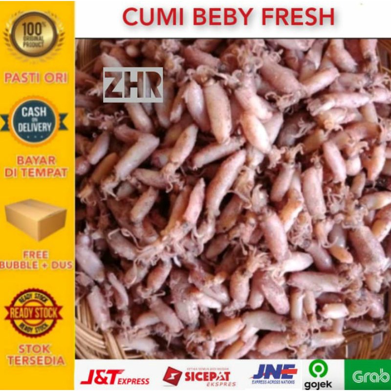 Cumi beby fresh 1kg baby cumi