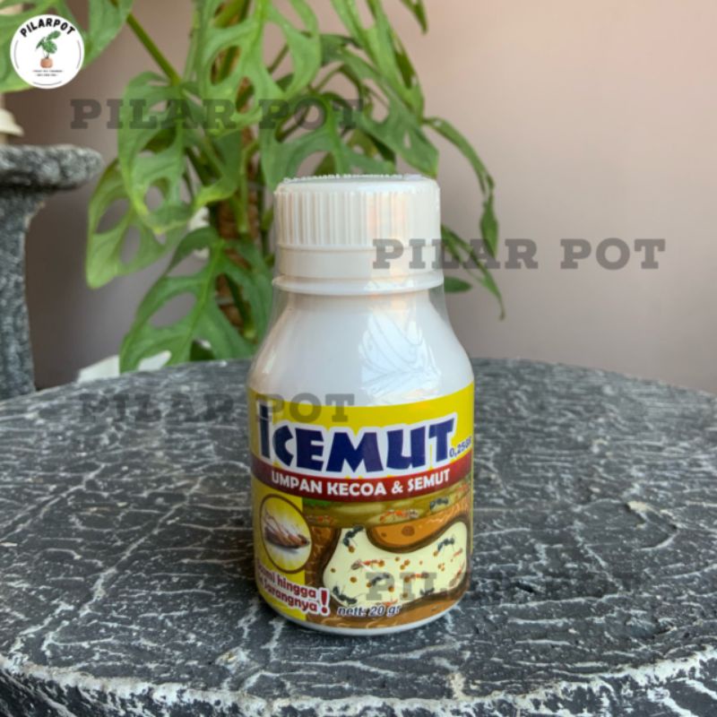 ICEMUT 0.25 GR 20 GRAM UMPAN KECOA SEMUT INSEKTISIDA - ICEMUT 0.25 GR