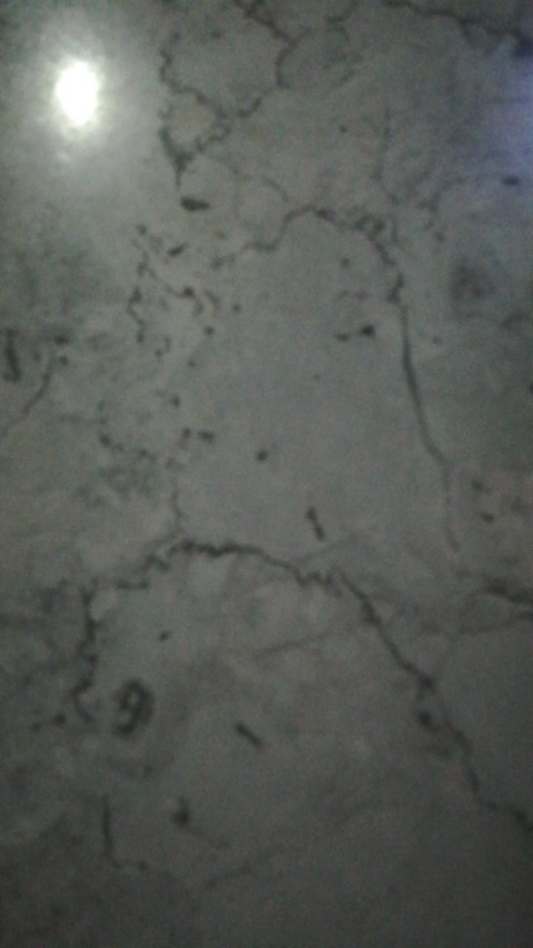 Handuk Mandi Polos List Size 70x140 Cm Cotton