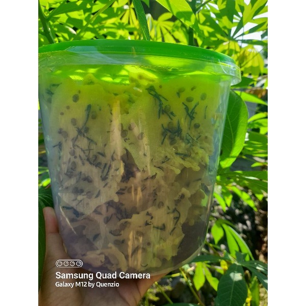 

rempeyek kacang ijo dan rempeyek rebon