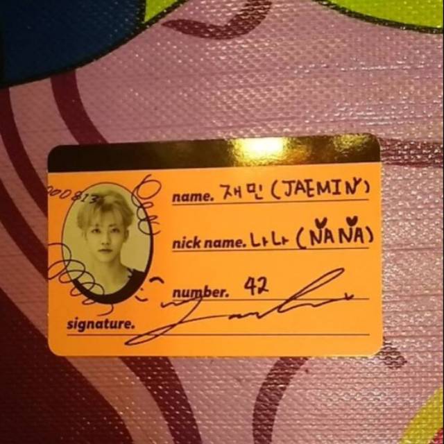 CC JAEMIN WGU