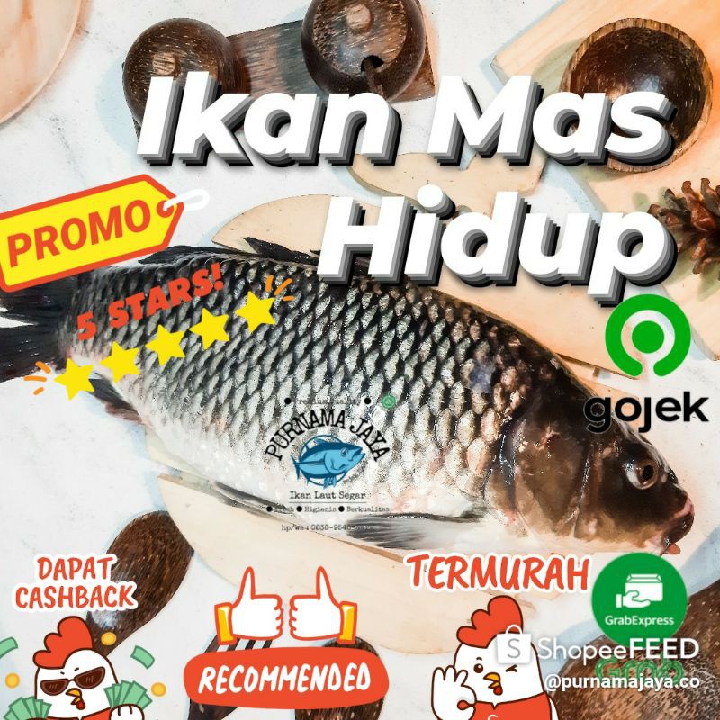 

Ikan Mas Hidup Segar 1kg