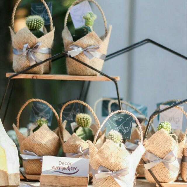 Souvenir kaktus dan sukulen hadiah kado tanaman hias hidup  Burlap Jinjing D 8cm