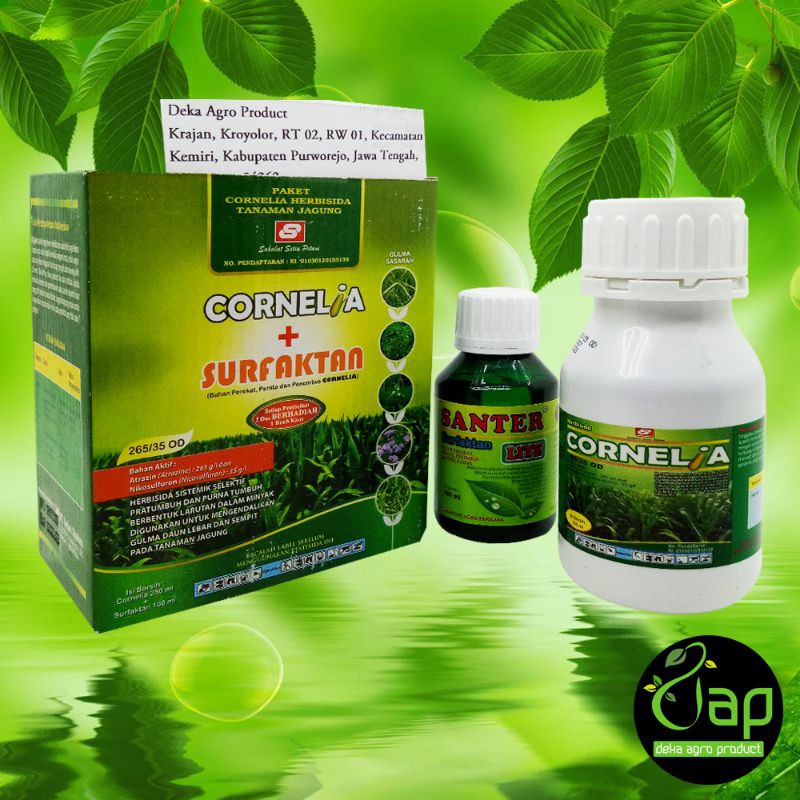 HERBISIDA SISTEMIK SELEKTIF CORNELIA 265 35OD 250ML+100ML