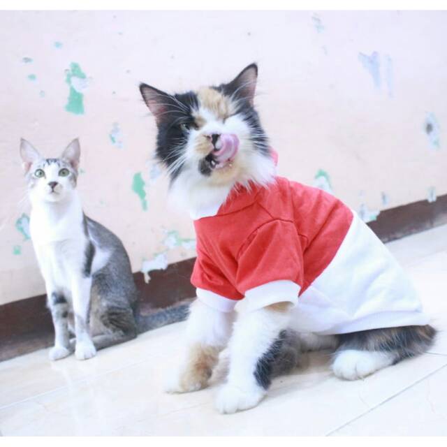 Kaos hoodie spesial 17-an merdeka / kaos hoodie murah untuk kucing dan anjing size S M L XL