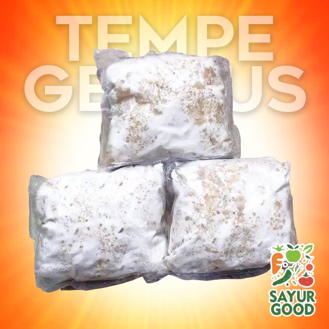 

Tempe Gembus Segar / Gembus Tempe Gembus / 3 Pcs