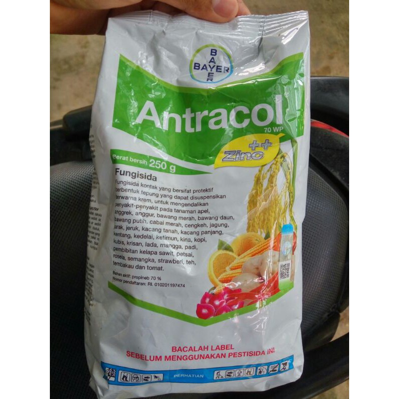 Fungisida Pestisida Antracol 70wp Kemasan 250g Shopee Indonesia