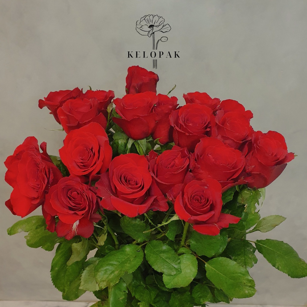 Mawar Merah isi 1 Tangkai/Red Rose/Mawar Potong/Bunga Mawar Potong/Bunga Mawar Asli/Mawar Satuan/Mawar Satu Tangkai/Mawar Batangan/Bunga Satuan/Bunga Asli/Bunga Potong/Bunga Segar/Sexy Red Mawar Bandung
