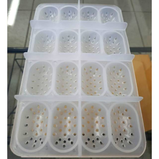 Reptiles/Gecko Egg Tray isi 16 telur