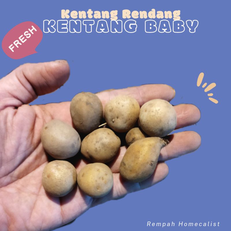 Kentang Baby Kentang Kecil Rendang