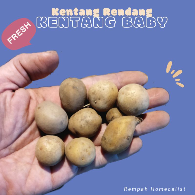 Kentang Baby Kentang Kecil Rendang