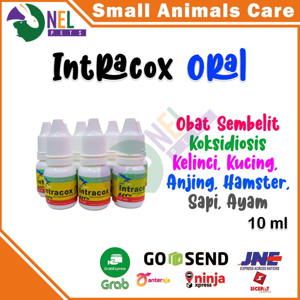 INTRACOX ORAL 10 ML OBAT SEMBELIT KOKSIDIOSIS KELINCI KUCING AYAM SAPI