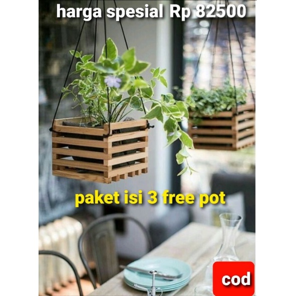 Rak pot Gantung Kayu  Bunga Anggrek