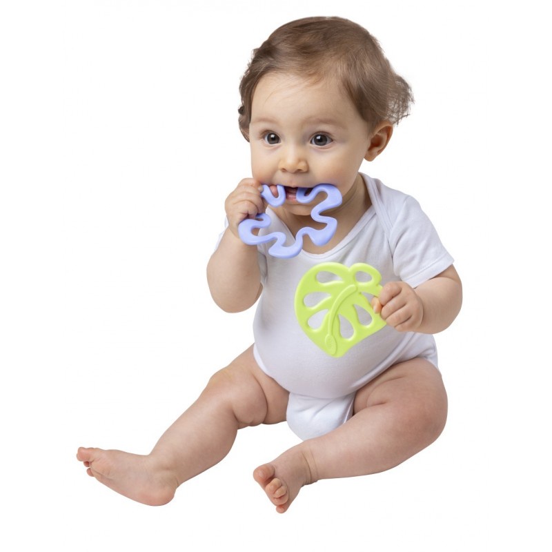 Playgro In My Garden Nature Teether Gigitan Bayi 3m+