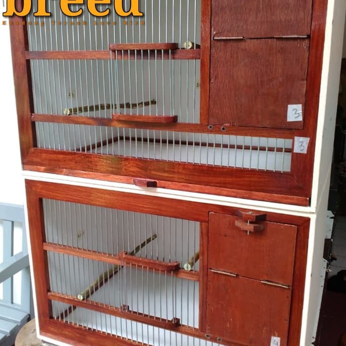Model Kandang Ternak Lovebird Dari Kayu mazalie