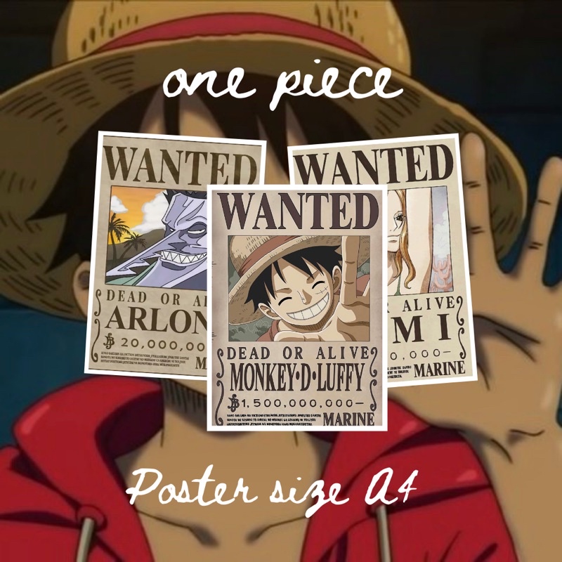 ONE PIECE WANTED POSTER A4