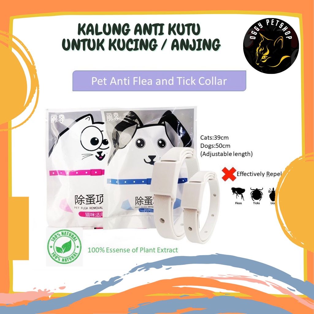 Kalung Anti Kutu Kucing Anjing