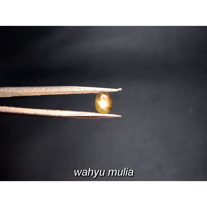 Batu Greenish Yellow Star Safir Asli (kode:781)