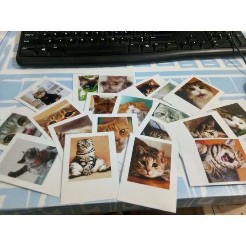 [BISA COD] CETAK FOTO POLAROID 159 RUPIAH TERJANGKAU TANPA PRE ORDER 1 HARI LANGSUNG JADI KUALITAS PREMIUM PROSES KILAT BISA CUSTOM BACKGROUND HASIL CETAK RAPI TERBAIK, ANTI LUNTUR, 2R (6X9CM)