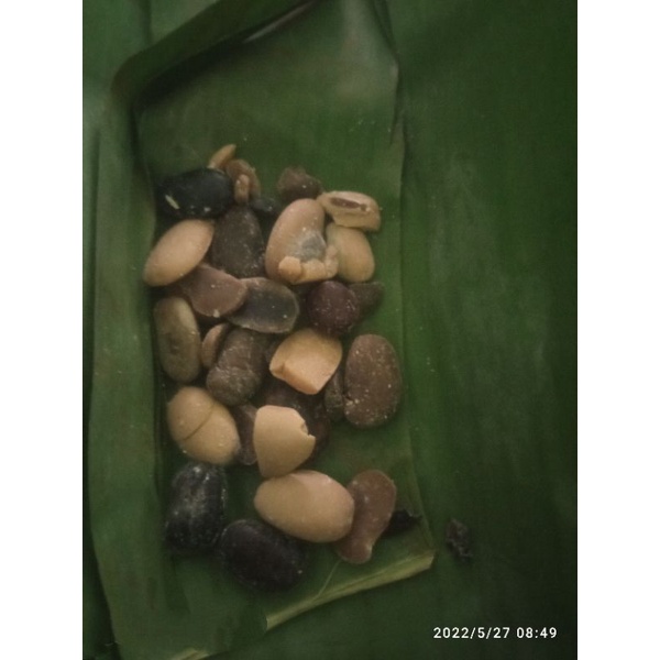 

Tempe Benguk 15 ikat isi 30 biji