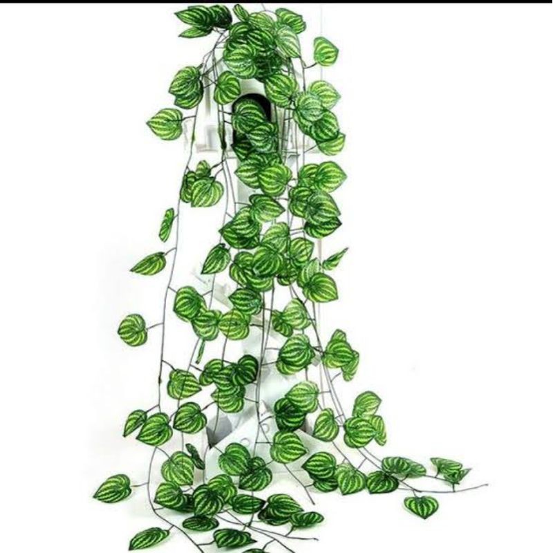 Daun Rambat Plastik, Panjang 2 meter Anggur/Sirih/Semangka/Ivy/Mangkok