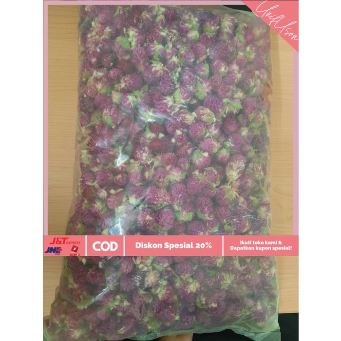 

⭐COD⭐ Globe Amaranth 600 gram / Teh Bunga Kancing / Qian Ri Hong (千日红)