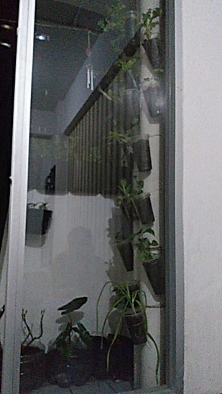 Nutrisi Sayuran Daun Hidroponik Ab Mix Paramudita 250ml Cair