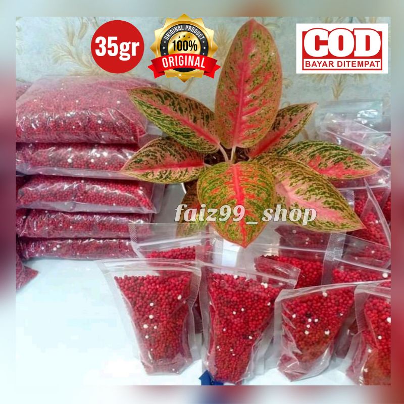 SLOW RELEASE MERAH/SK COTE/Pupuk Merah/Pupuk sr/Pupuk tanaman hias/SR19-10-13 Kemasan 35 gram