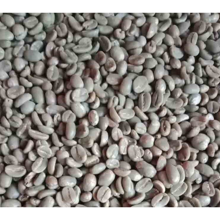 Kopi Greenbean Robusta dan Arabika Biji Kopi harga per Kilo