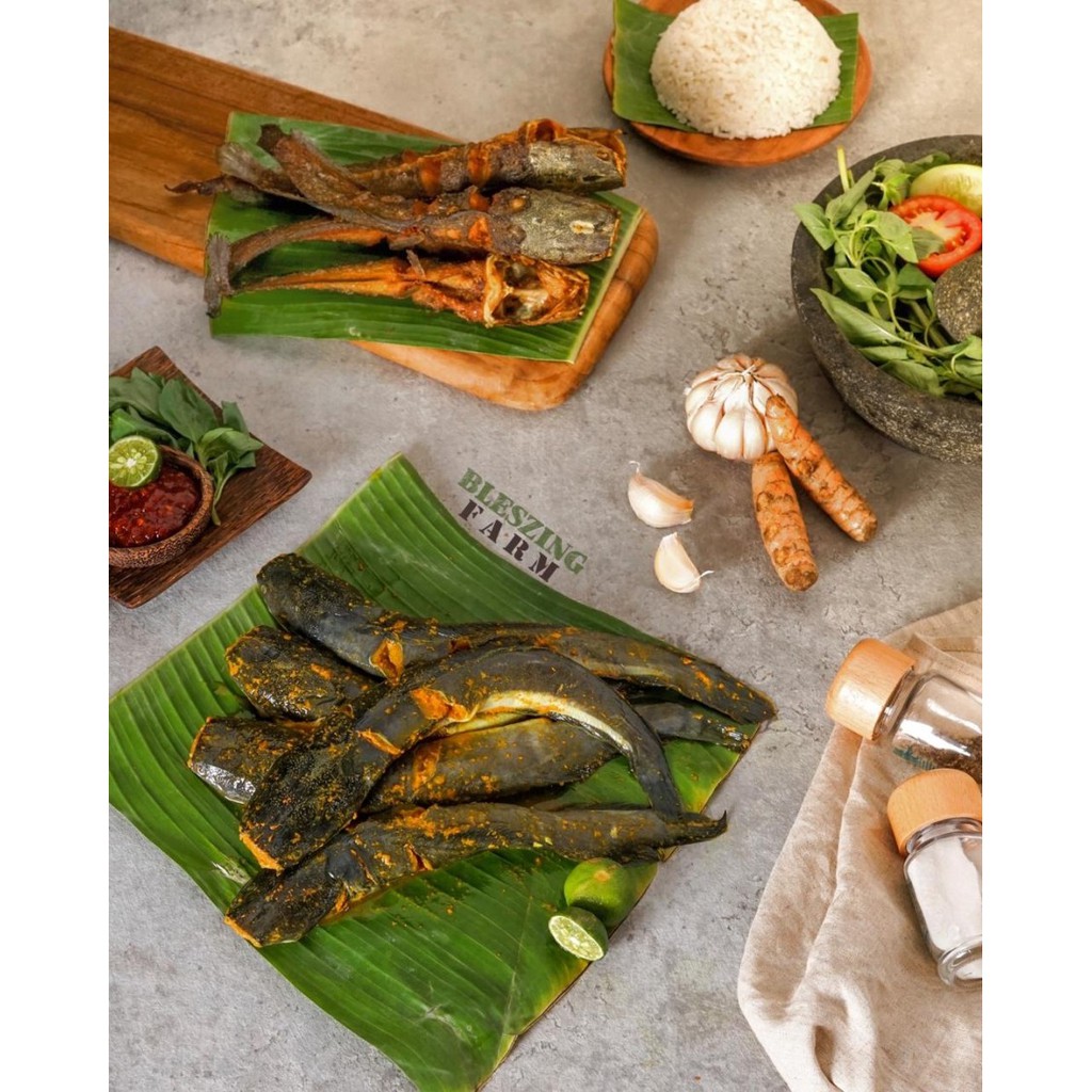 

LEUGA Ikan Lele Organik Siap Goreng